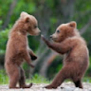 Meet your Posher, Helena